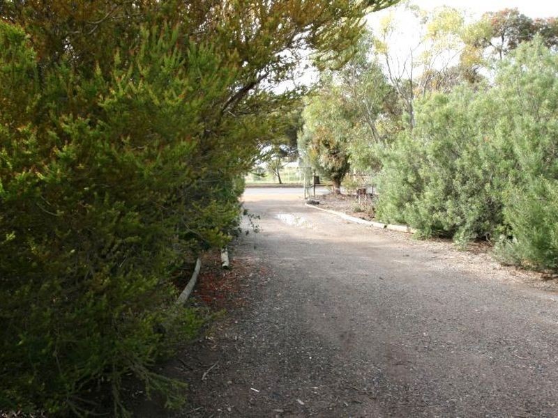 32 Drain Road, Kadina SA 5554