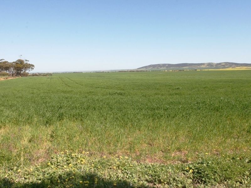 Section 315 and 321 Hundred of Goyder, Bowmans SA 5550