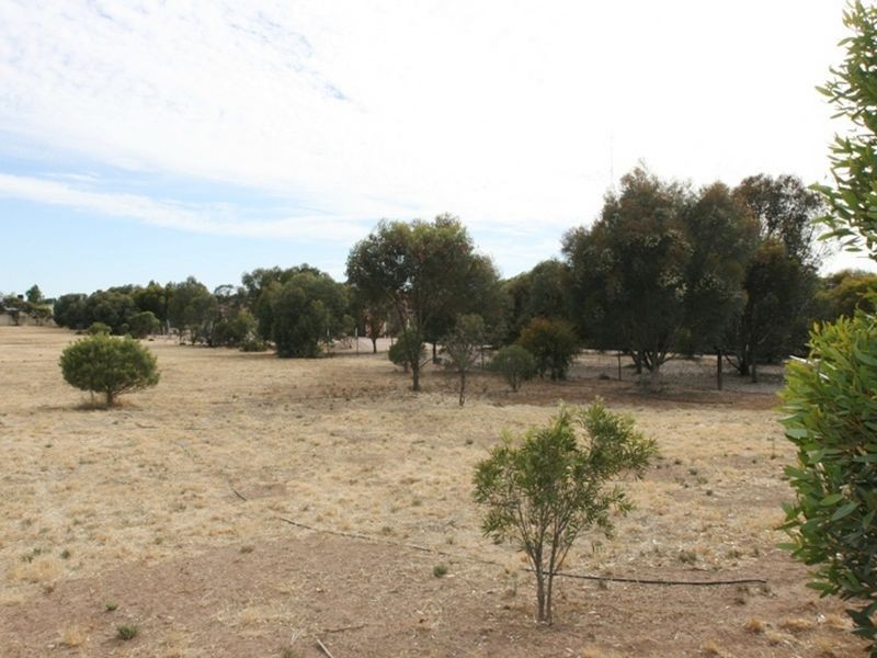 53 Champion Street, Kadina SA 5554