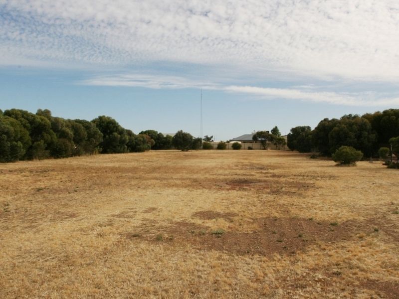 53 Champion Street, Kadina SA 5554