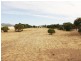 53 Champion Street, Kadina SA 5554