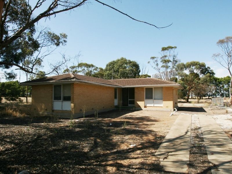 Lot 1 School Terrace, Paskeville SA 5552