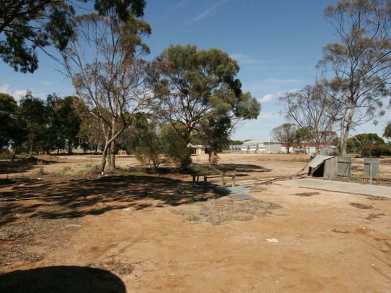 Lot 1 School Terrace, Paskeville SA 5552