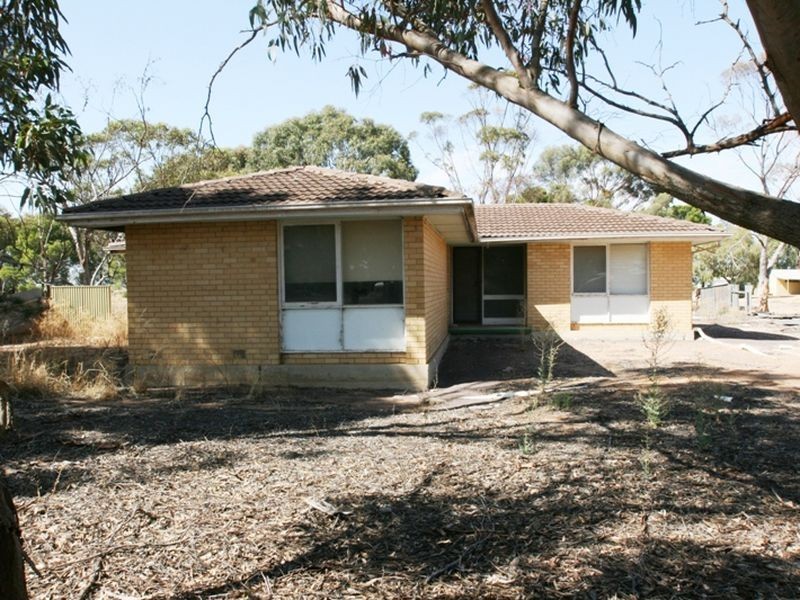 Lot 1 School Terrace, Paskeville SA 5552