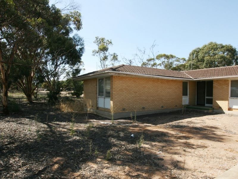 Lot 1 School Terrace, Paskeville SA 5552