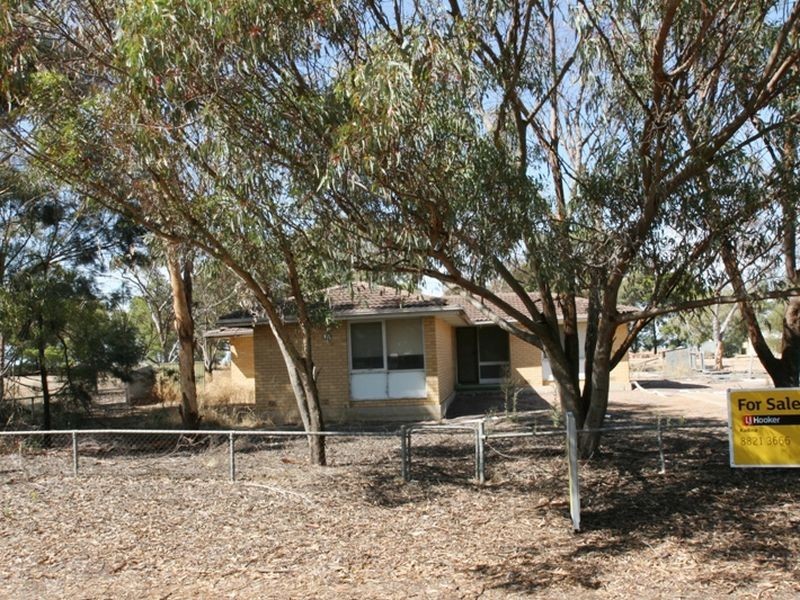 Lot 1 School Terrace, Paskeville SA 5552