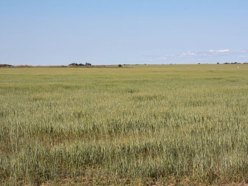 Lot 2 Point Riley Rd, North Beach SA 5556