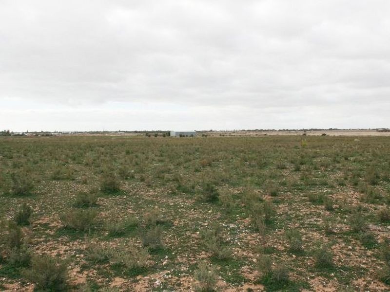 1451 Spencer Highway, Wallaroo SA 5556