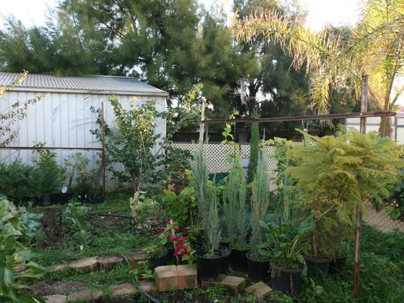 12 Evans Road North, Wallaroo SA 5556