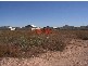 Lot 137 Bollmeyer Street, Wallaroo SA 5556
