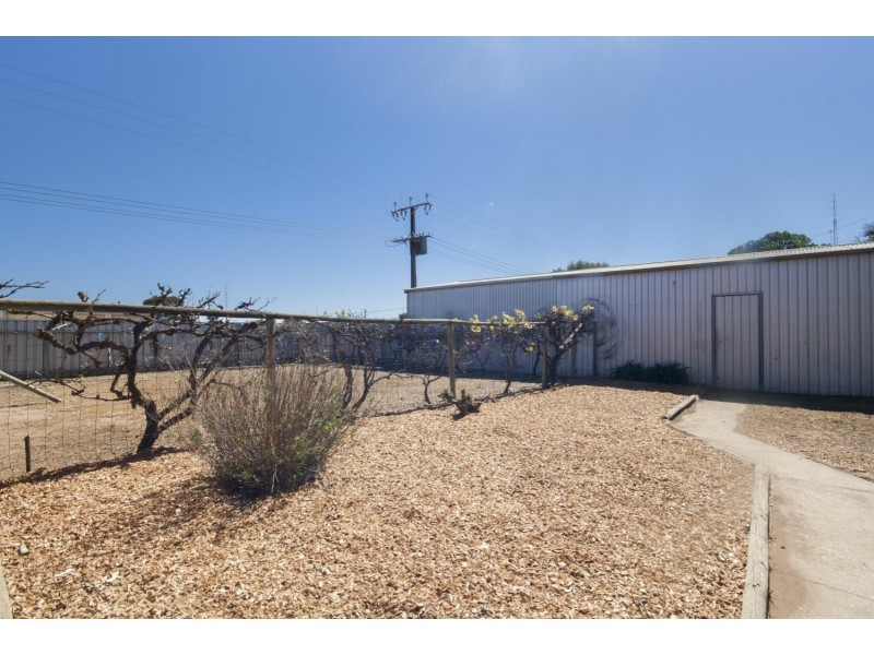 12 John Lloyd Street, Wallaroo SA 5556