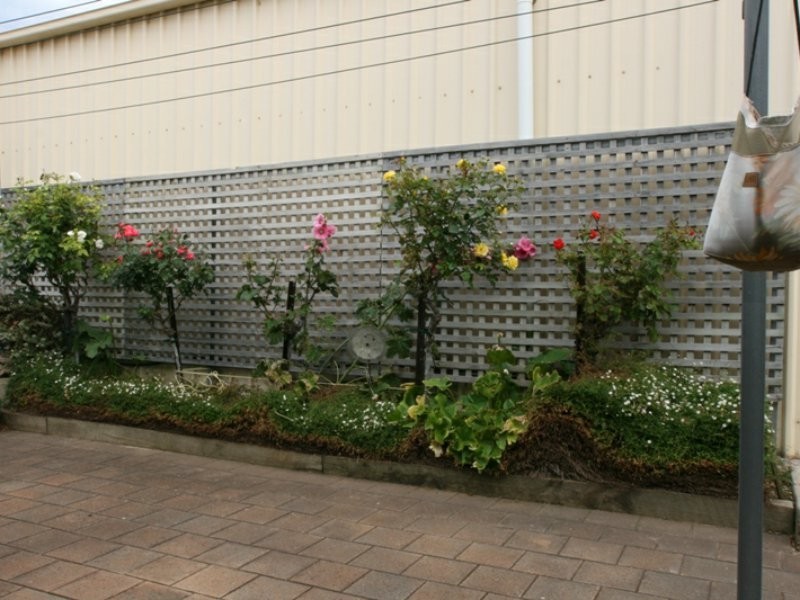 24 Oceanview Drive, North Beach SA 5556