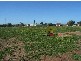 Lot 17 Jamieson Way, Wallaroo SA 5556