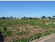 Lot 17 Jamieson Way, Wallaroo SA 5556