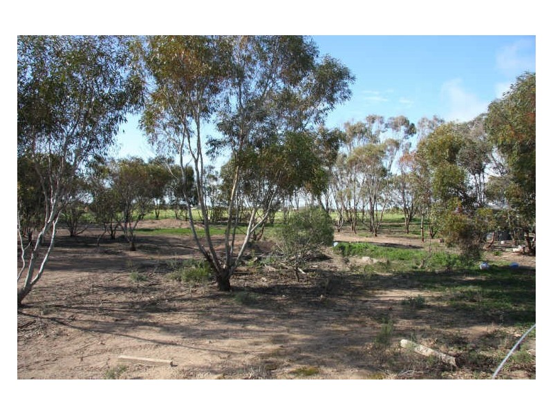 Sect 801 Corner Harbison and Phillips Road, Wallaroo SA 5556
