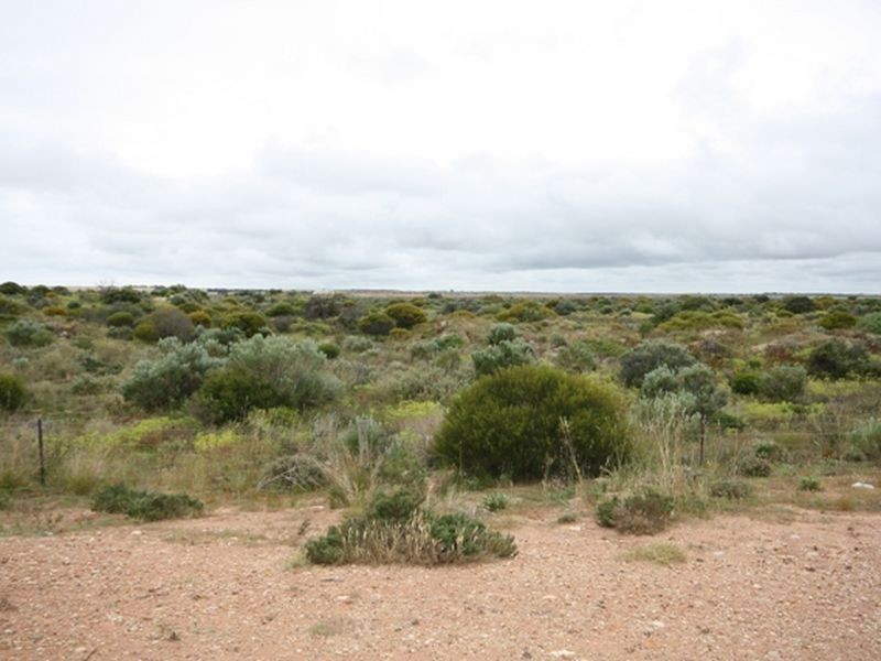 31 Pommern Way, Wallaroo SA 5556