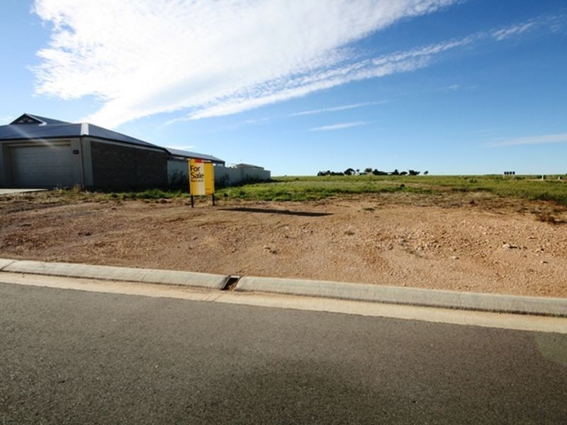 17 Harding Street, North Beach SA 5556