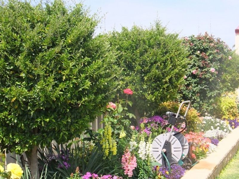 13 Price St, Wallaroo SA 5556