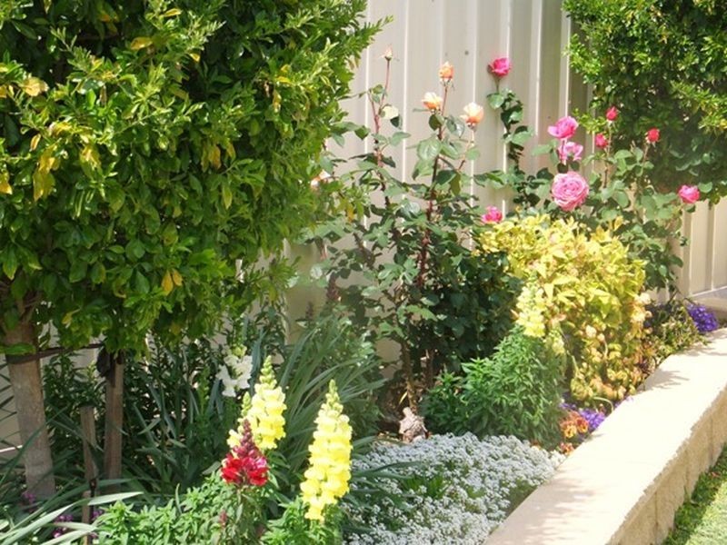 13 Price St, Wallaroo SA 5556