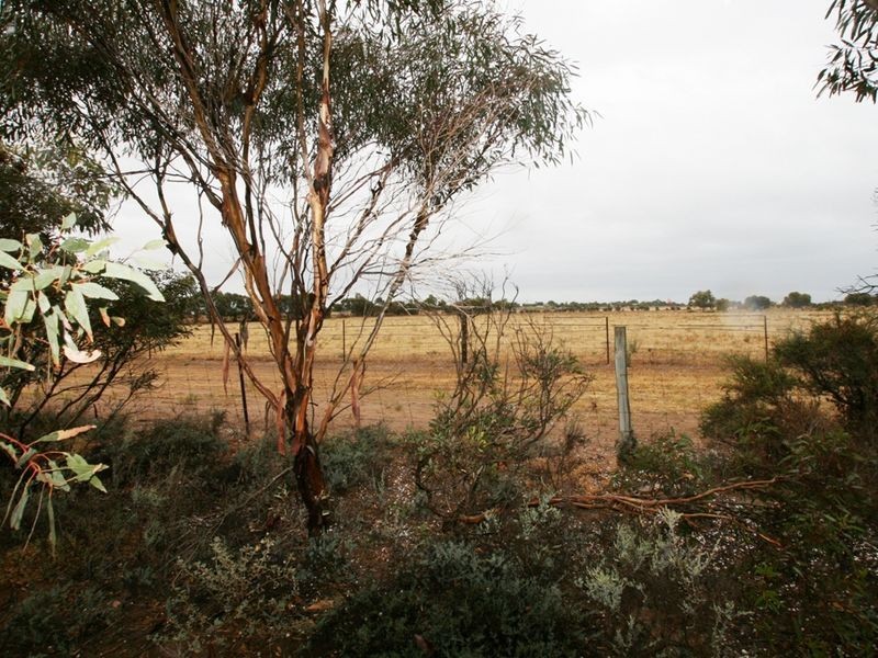 Lot 1 Section 738 Rosslyn Road, Wallaroo SA 5556