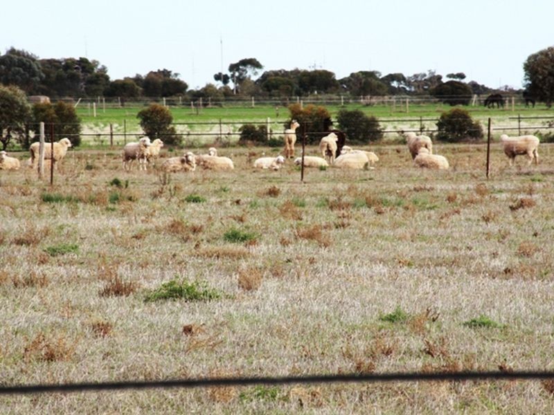 Lot 1 Section 738 Rosslyn Road, Wallaroo SA 5556