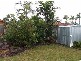 409 Charles Street, Kirwan QLD 4817
