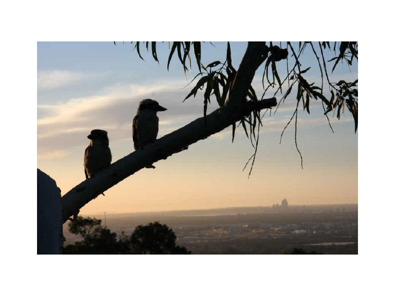 52 Nelson Crescent, Lesmurdie WA 6076