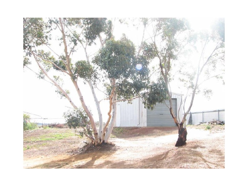 10 Sylvester Street, Coolgardie WA 6429