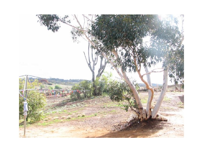 10 Sylvester Street, Coolgardie WA 6429