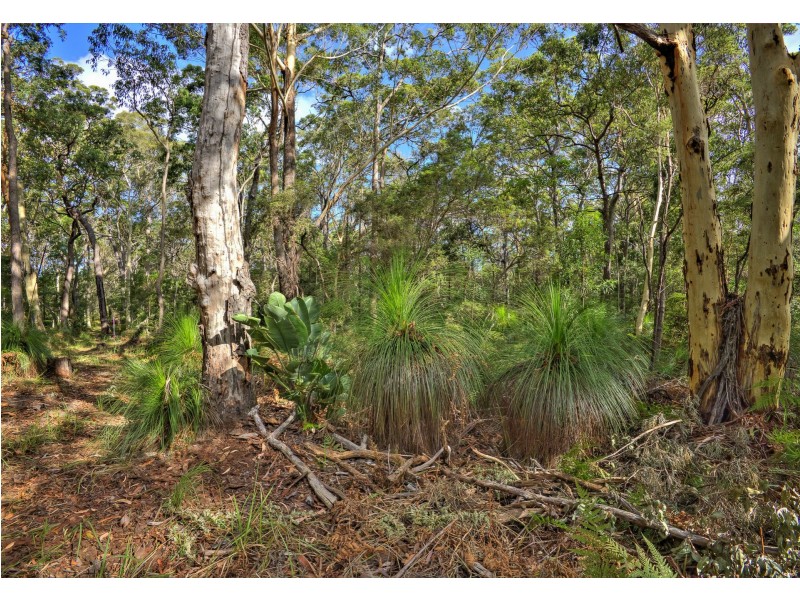 40 Lakewood Drive, Peregian Beach QLD 4573