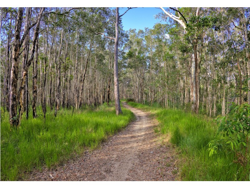 40 Lakewood Drive, Peregian Beach QLD 4573