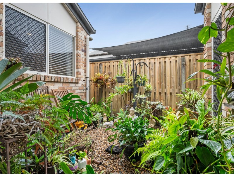 14 Fitzroy Court, Pacific Paradise QLD 4564