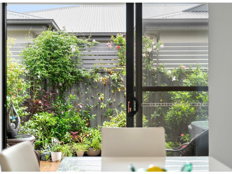 8/596 – 600 David Low Way, Pacific Paradise QLD 4564