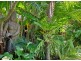 35 Lake View Drive, Twin Waters QLD 4564