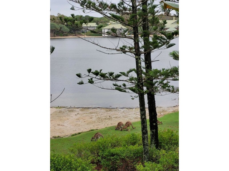 46/80 North Shore Road, Twin Waters QLD 4564