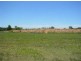 Bli Bli QLD 4560