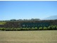 Bli Bli QLD 4560