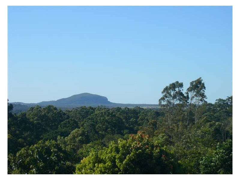 Diddillibah QLD 4559