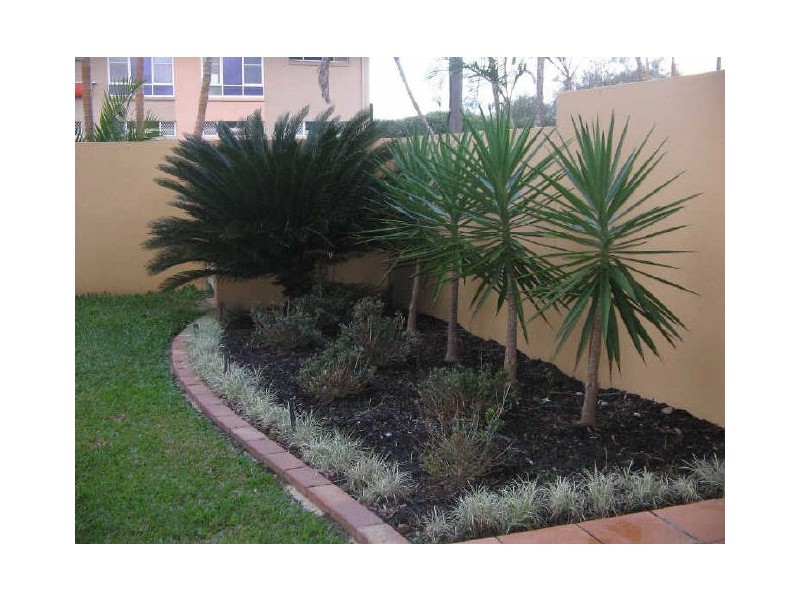 2/63 Marcoola Esplanade, Marcoola QLD 4564