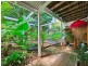 7 Briggs Street, Palmwoods QLD 4555