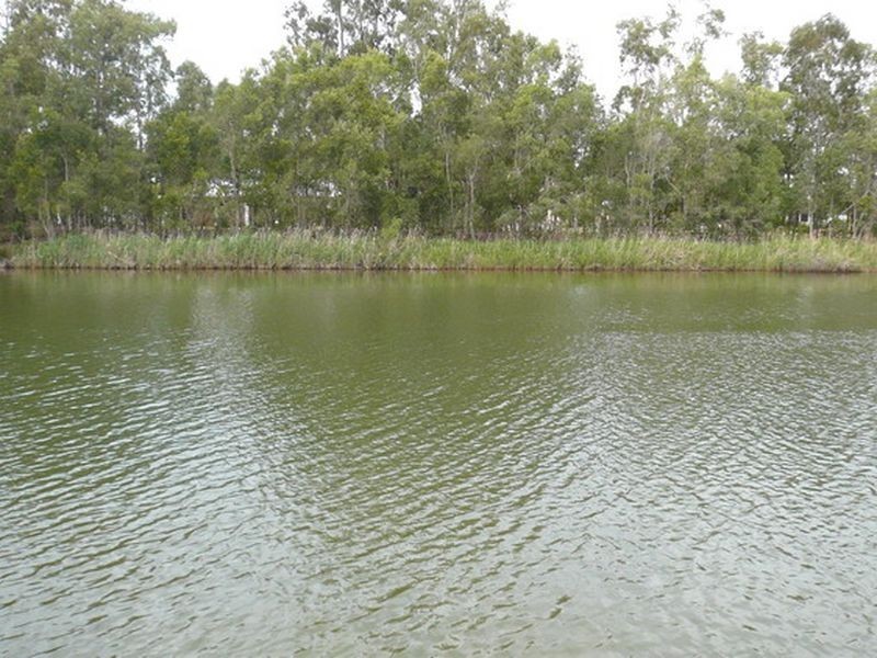 4 Hetherington Drive, Twin Waters QLD 4564