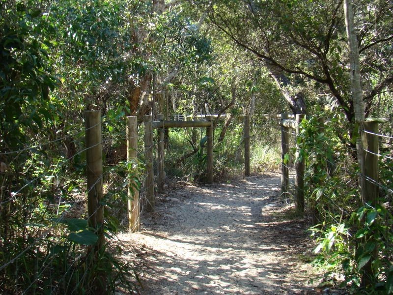 58/885 David Low Way, Marcoola QLD 4564