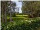 16 Pampling Place, Twin Waters QLD 4564