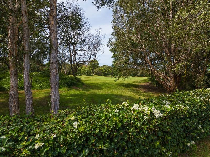 16 Pampling Place, Twin Waters QLD 4564