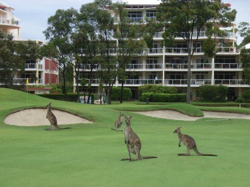 2/179 Ocean Drive, Twin Waters QLD 4564