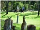 13 Tralee Place, Twin Waters QLD 4564
