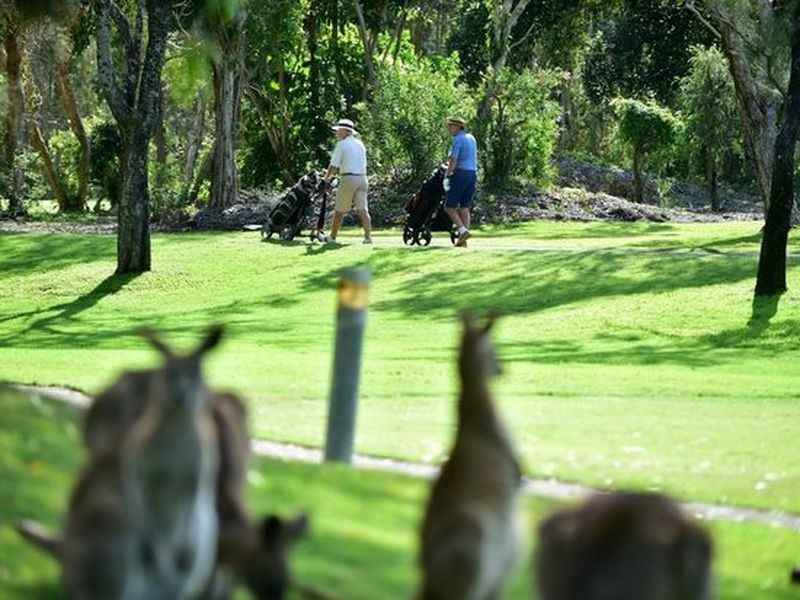 13 Tralee Place, Twin Waters QLD 4564