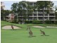 11/179 Ocean Drive, Twin Waters QLD 4564