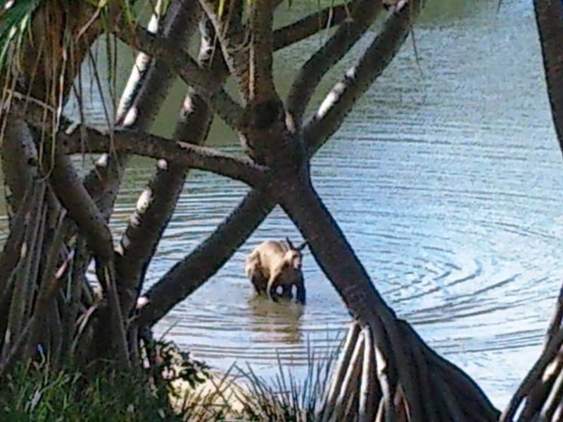 53/80 North Shore Road, Twin Waters QLD 4564