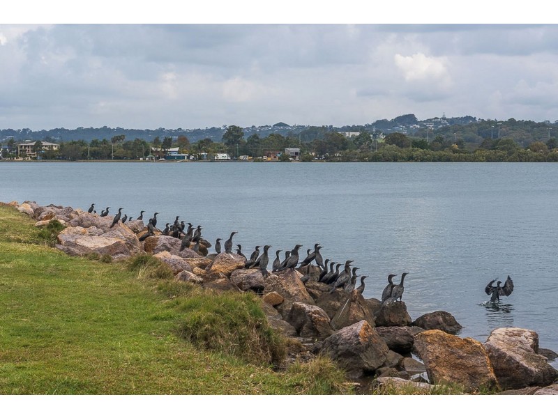 2 Waterview Crescent, Bli Bli QLD 4560